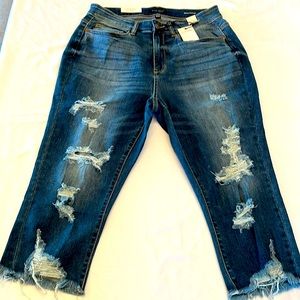 Judy Blue Skinny Fit Capri Jeans